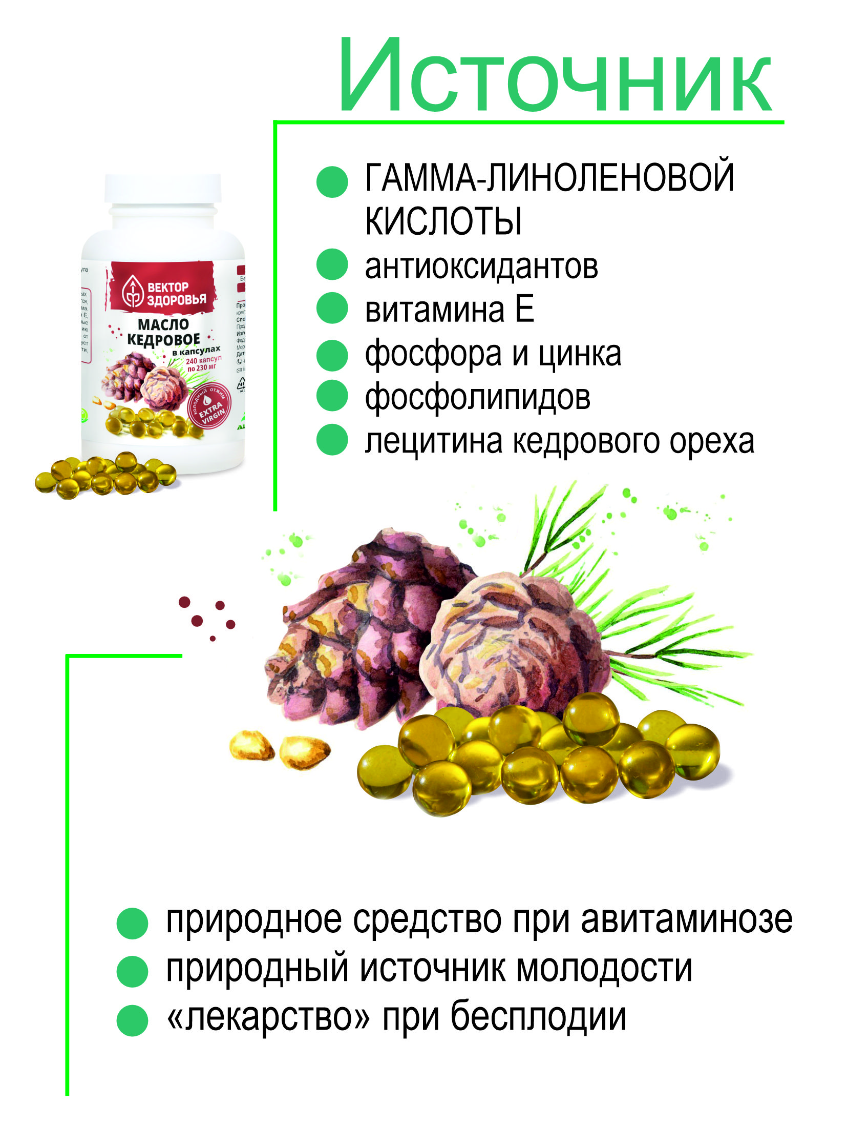(ЧЗ) БАД Масло кедровое в капсулах 240 капсул — фото