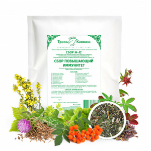 (ЧЗ) БАД "Серия Зеленая Аптека" Сбор № 42 повышающий иммунитет, 200 гр. — фото