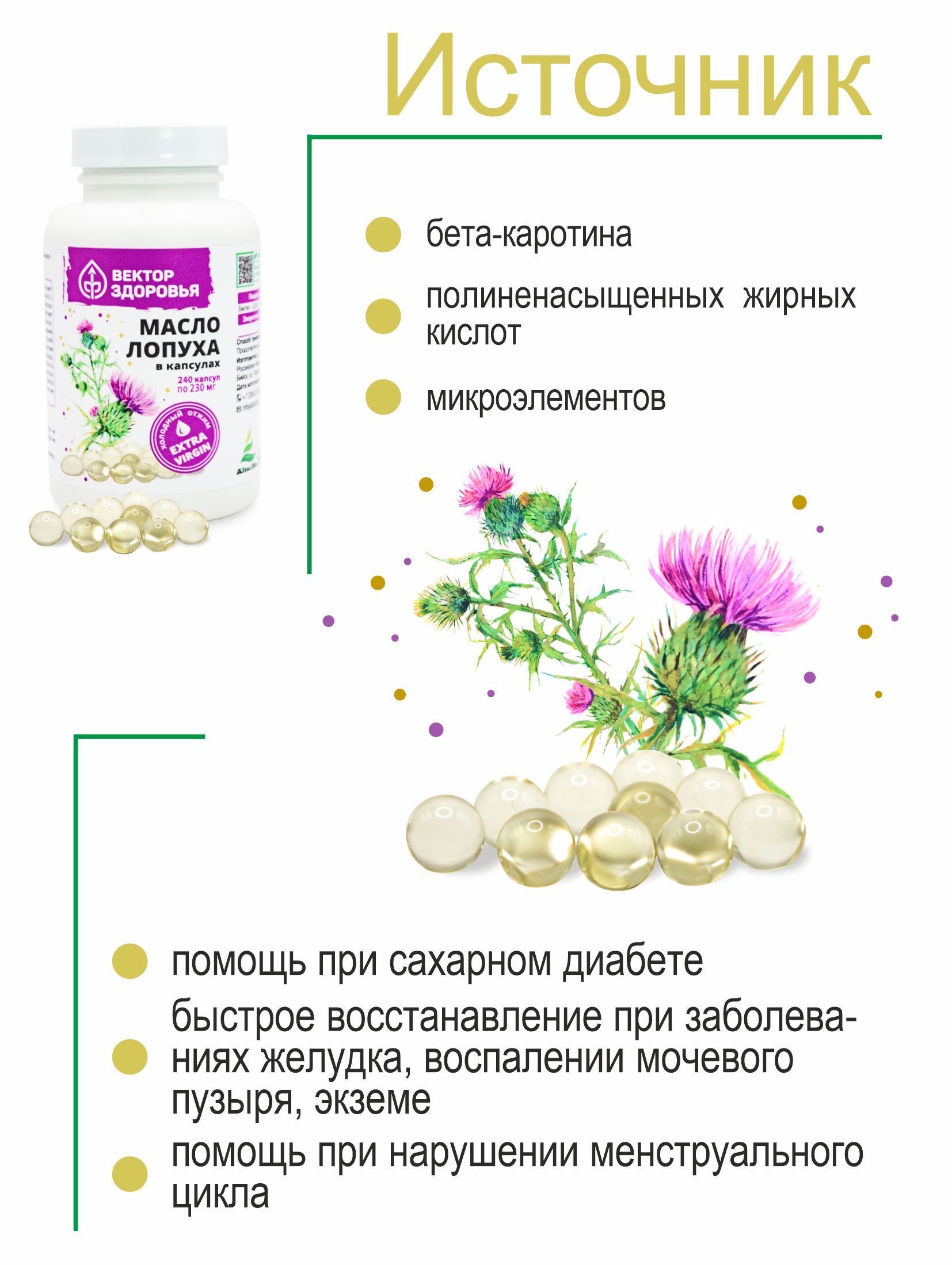 (ЧЗ) БАД Масло лопуха в капсулах 240 — фото